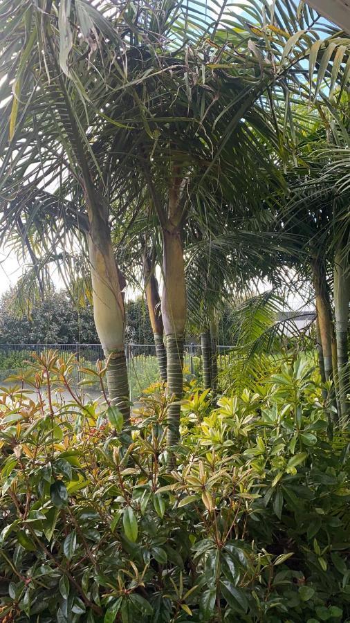Bed and Breakfast Te Whare Ma Kerikeri Exterior foto